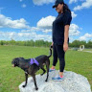 Meet your Posher, Betsaida